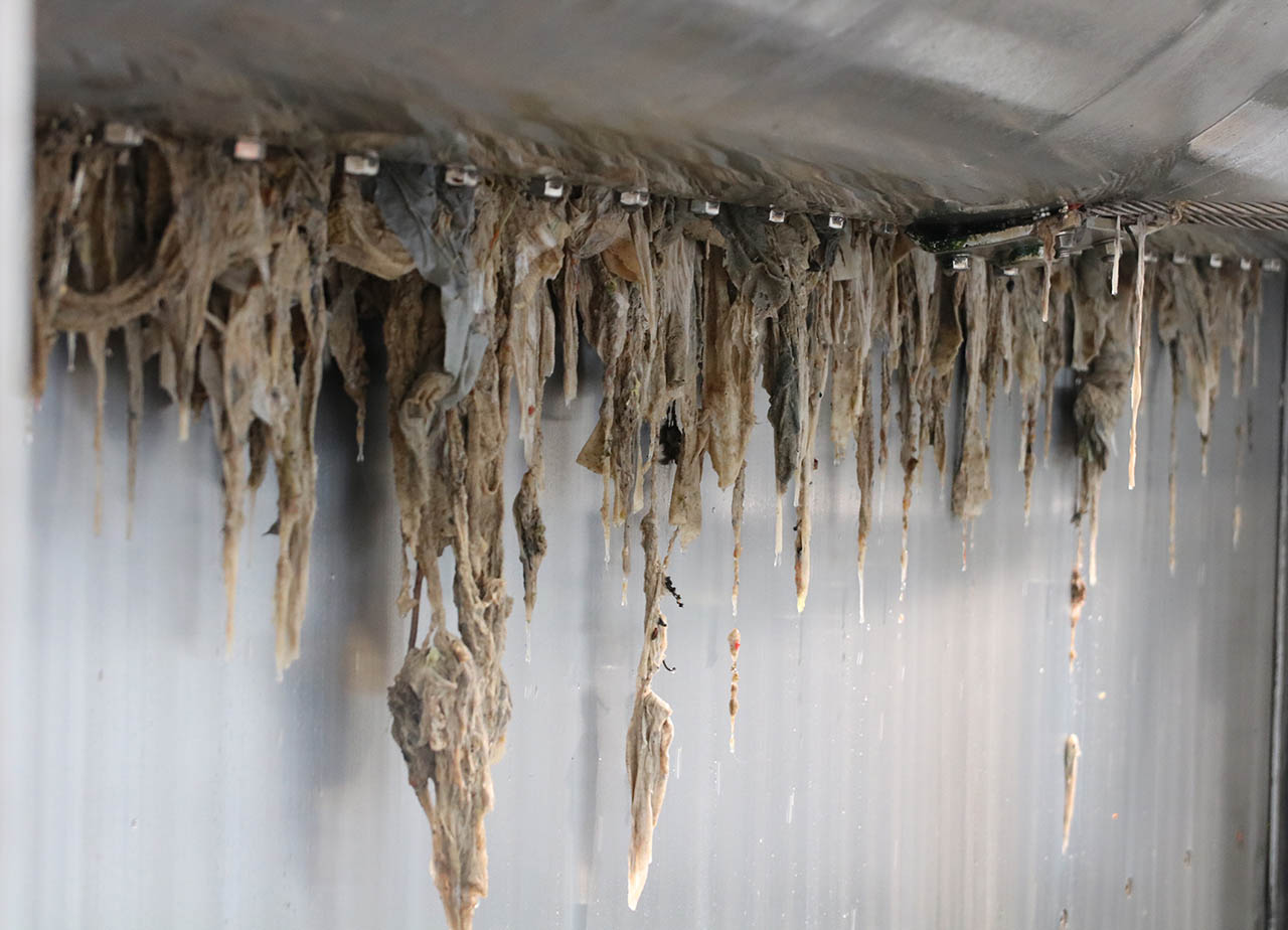 Feuchttücher gehören nicht ins Klo: Darauf weist der Zweckverband JenaWasser zum heutigen Tag des Toilettenpapiers hin. Genauso wie anderer Abfall lösen sich Feuchttücher nicht im Wasser auf und sorgen so für große Probleme, Foto: Stadtwerke Jena