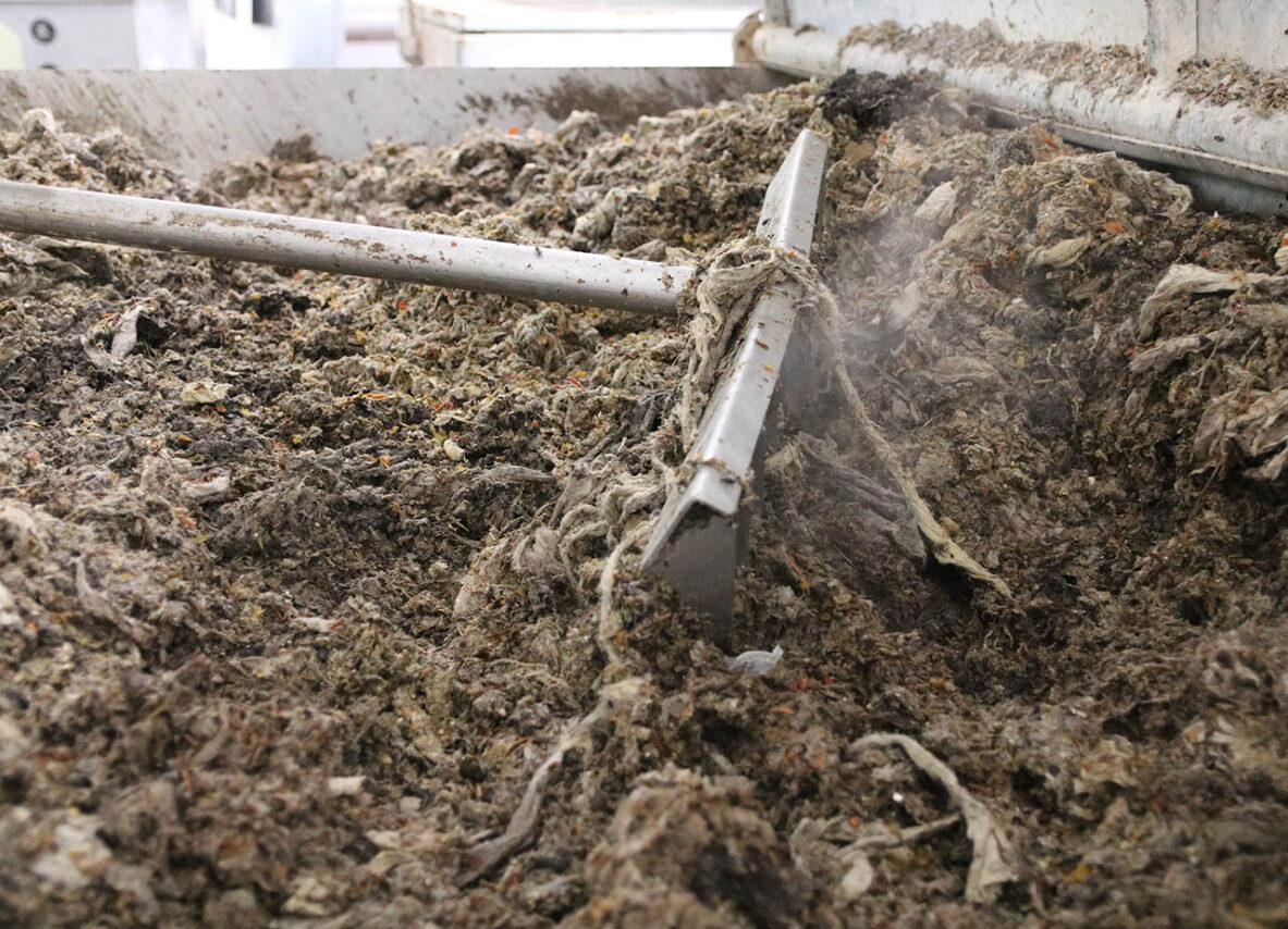 Feuchttücher gehören nicht ins Klo: Schlimmstenfalls drohen Verstopfungen der Kanäle und Ausfälle der Kläranlage, weiß Stadtwerke-Mitarbeiterin Anne Gebhardt. Foto: Stadtwerke Jena