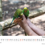 August: Tiergarten Eisenberg – tierische Erlebnisse für die ganze Familie