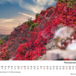 Oktober: Perückensträucher Jena – farbenfrohes Herbstschauspiel