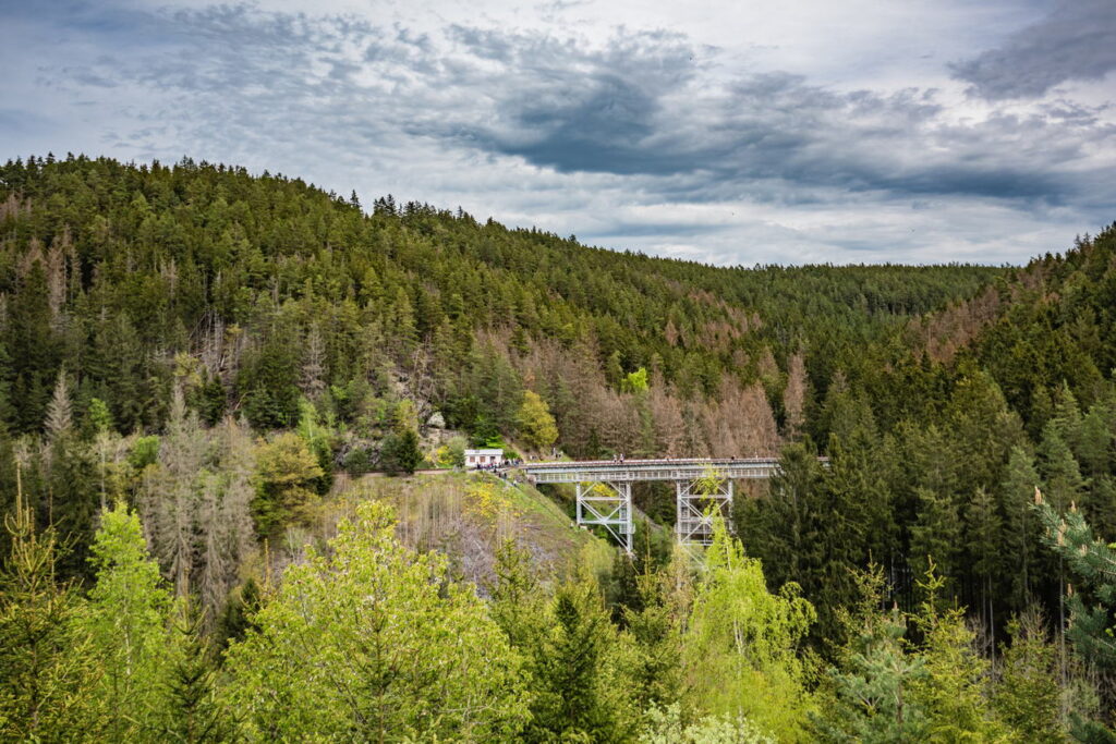 Ziemestalbrücke: Lostplace & Wanderziel im Thüringer Wald. Foto: Frank Liebold, Jenafotografx