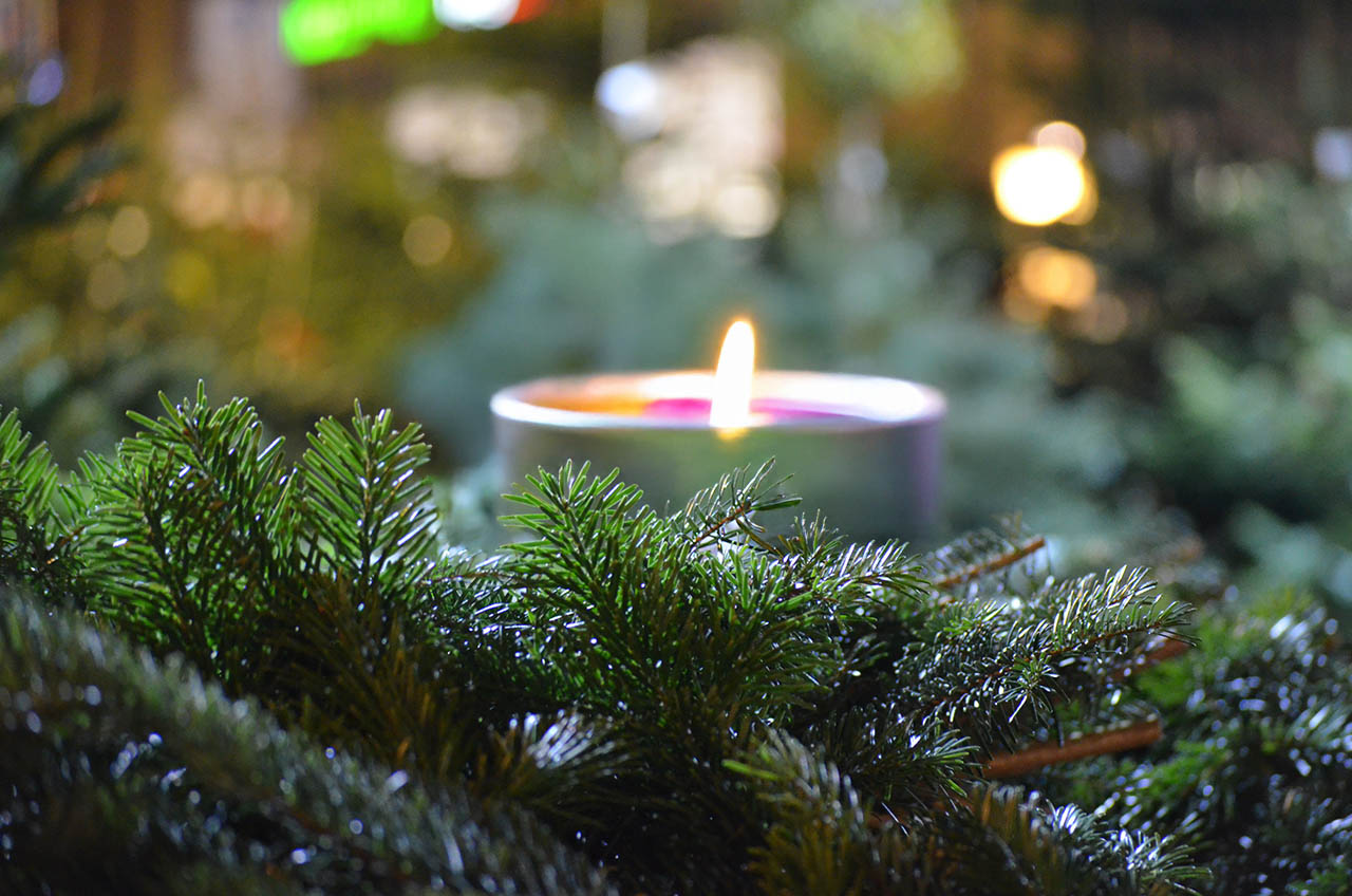 Vom 5.–21. Dezember 2025 erstrahlt der Botanische Garten Jena im Lichterglanz: Kunst, Musik, Handwerk und Genuss im stimmungsvollen Lichterdorf. Foto: Frank Liebold, Jenafotografx